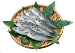 あじ解凍テスト