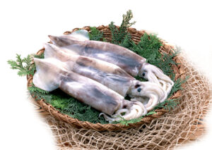 ムラサキイカ（ドレス）解凍テスト